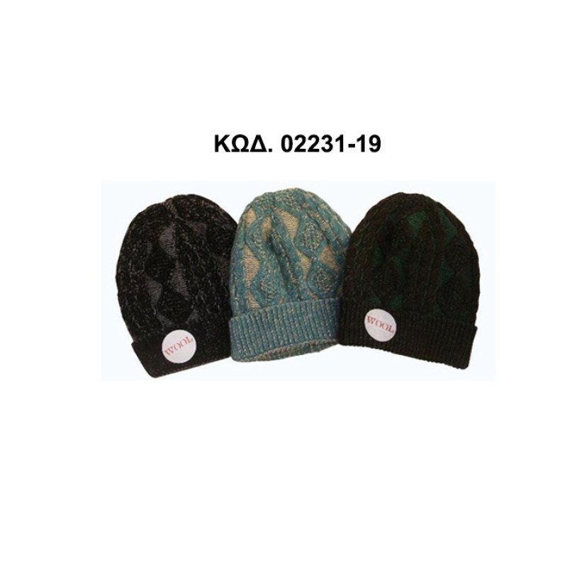 CAP 02231-19 SCARVES - CAPS - GLOVES